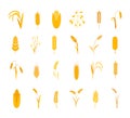 Cereals icons. Barley and wheat items. Rye and rice grain yellow silhouettes, bakery logo, grass fields decorative