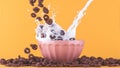 Cereals milk bowl splash Royalty Free Stock Photo