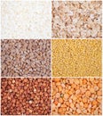 Cereals set. Rice, peas, oatmeal, barley, millet, buckwheat