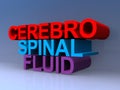Cerebro spinal fluid