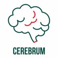 Cerebrum icon. Human brain icon.