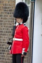 A ceremonial armed guard, London Royalty Free Stock Photo