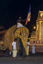 A ceremonial elephant enters the Esala Perahera in Kandy, Sri Lanka.