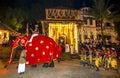 A ceremonial elephant is followed by a group of young musicians during the Esala Perahera in Kandy, Sri Lanka.