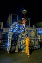 A ceremonial elephant in Kandy.