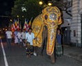 A ceremonial elephant parades ahead of Buddhist followers down the streets of Kandy in Sri Lanka.