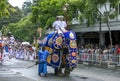 A ceremonial elephant parades along a street of Kandy in Sri Lanka during the Day Perahera.