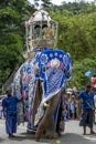 A ceremonial elephant parades during the Day Perahera.