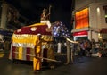 A ceremonial elephant parades at Kandy in Sri Lanka.