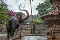 A ceremonial elephant in Sri Lanka.