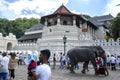 A ceremonial elephant walks past the Temple of the Sacred Tooth Relic prior to the Esala Perahera in Kandy in Sri Lanka.