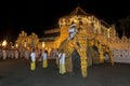 Ceremonial elephants parade during the Esala Perahera. Royalty Free Stock Photo