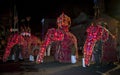 Ceremonial elephants parade through the streets of Kandy during the Esala Perahera in Sri Lanka. Royalty Free Stock Photo