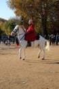 Ceremonial guard on a horse in London, UK