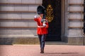 Ceremony of Changing the Guard on the forecourt of Buckingham Palace, London Royalty Free Stock Photo