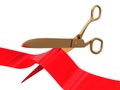 Ceremony scissors Royalty Free Stock Photo