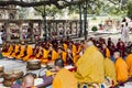 Ceremony under the bodhi tree