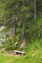 Ceresole Reale, Italy. Wooden bench along the nature trail of Lake Ceresole, near the Dres waterfall. Concept of rest, nature,