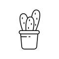 Cereus cactus with triple shoots, spines in pot. Linear icon of houseplant. Black illustration of botany, plant care. Pictogram