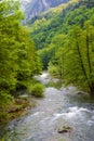 Cerna river Royalty Free Stock Photo