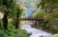 Cerna river bridge Royalty Free Stock Photo