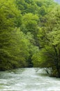 Cerna River In Romania Royalty Free Stock Photo