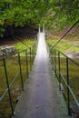 Bridge in forest over Cerna River, Romania Royalty Free Stock Photo