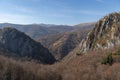 Autumn forest in the cerna valley,romania