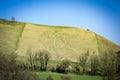 Cerne Abbas in Dorset Royalty Free Stock Photo