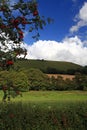 Cerne Abbas Giant Dorset England Royalty Free Stock Photo