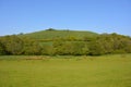 Cerne Abbas Giant, Dorset England Royalty Free Stock Photo