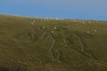 Cerne Abbas Giant, hill figure carved in chalk Royalty Free Stock Photo