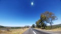 Cerretera recta al horizonte con arboles al costado y cielo azul con estrella luminosa Royalty Free Stock Photo