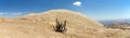 Cerro Blanco sand dune near Nasca or Nazca in Peru