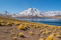 Cerro Miscanti, seen from the banks of Lagunas Miscanti located in the altiplano of the Antofagasta Region, in northern Chile