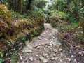 Cerro Pando Costa Rica - PanamÃÂ¡ Jurutungo