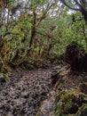 Cerro Pando Costa Rica - PanamÃÂ¡ Jurutungo