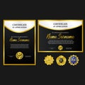 Set Certificate A4 Luxury Award With Golden Emblem Pin Medal With Luxury Look