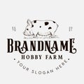 Kune kune pig farm logo design template market farmer Royalty Free Stock Photo