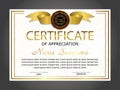 Certificate of appreciation, diploma. Winning the competition. Award winner. Reward. Gold decorative elements. Vector Royalty Free Stock Photo