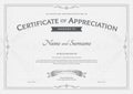 Certificate of appreciation template with award ribbon on abstract guilloche background with vintage border style