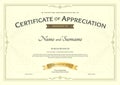 Certificate of appreciation template with award ribbon on abstract guilloche background with vintage border style