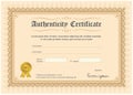 Certificate of authenticity, vector illustration with watermark and stamp Royalty Free Stock Photo