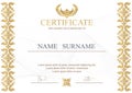 Certificate, Diploma of completion (design template, background). Gold Certificate of Achievement, Certificate