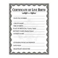 Certificate of Live Birth template featuring a decorative border and an embossed Royalty Free Stock Photo