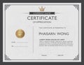 Certificate template and element. Royalty Free Stock Photo