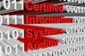 Certified Information Systems Auditor Royalty Free Stock Photo