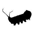 Puss Moth Silhouette. Good To Use For Element Print Book, Animal Book and Animal Content