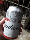 Cerveza Budweiser Beer