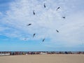 Performance of four-wire acrobatic kites revolution by the sea o